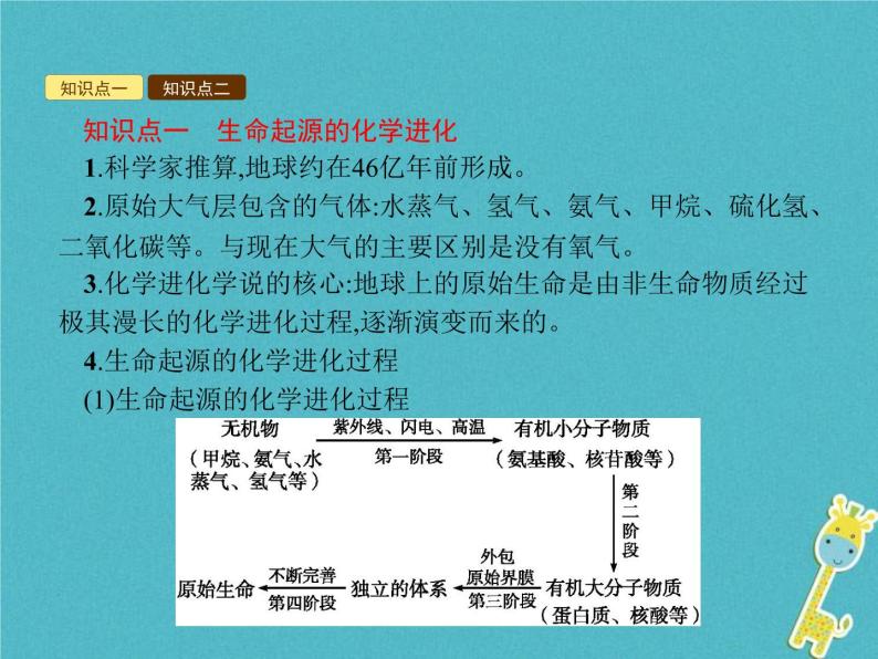 2021年济南版八年级生物下册5.1.1生命的起源 课件05