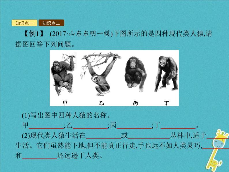 2021年济南版八年级生物下册5.2.1人类的起源 课件08