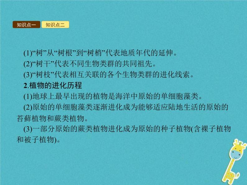 2021年济南版八年级生物下册5.1.3生物进化的历程 课件06