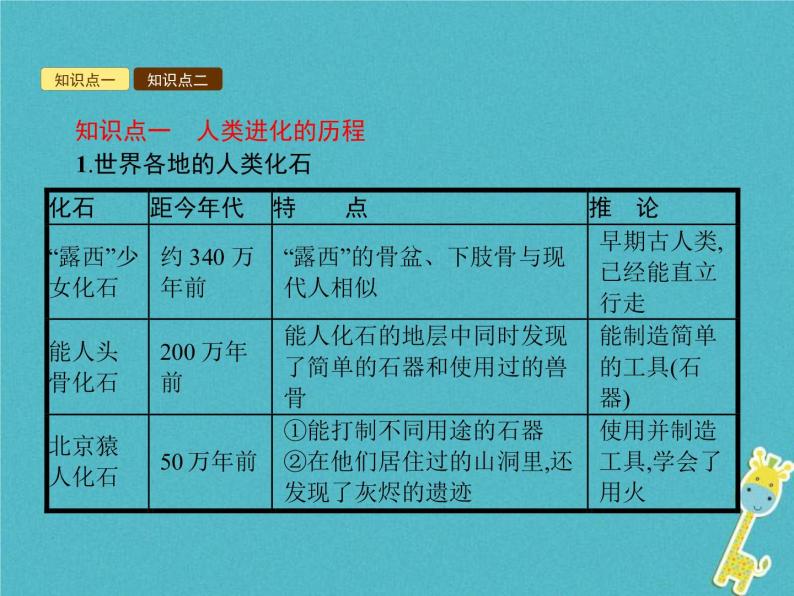 2021年济南版八年级生物下册5.2.2人类的进化 课件02