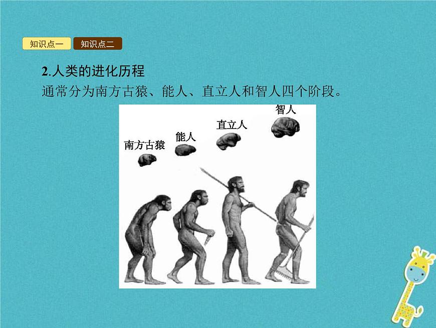 2021年濟南版八年級生物下冊5.2.2人類的進化 課件第3頁