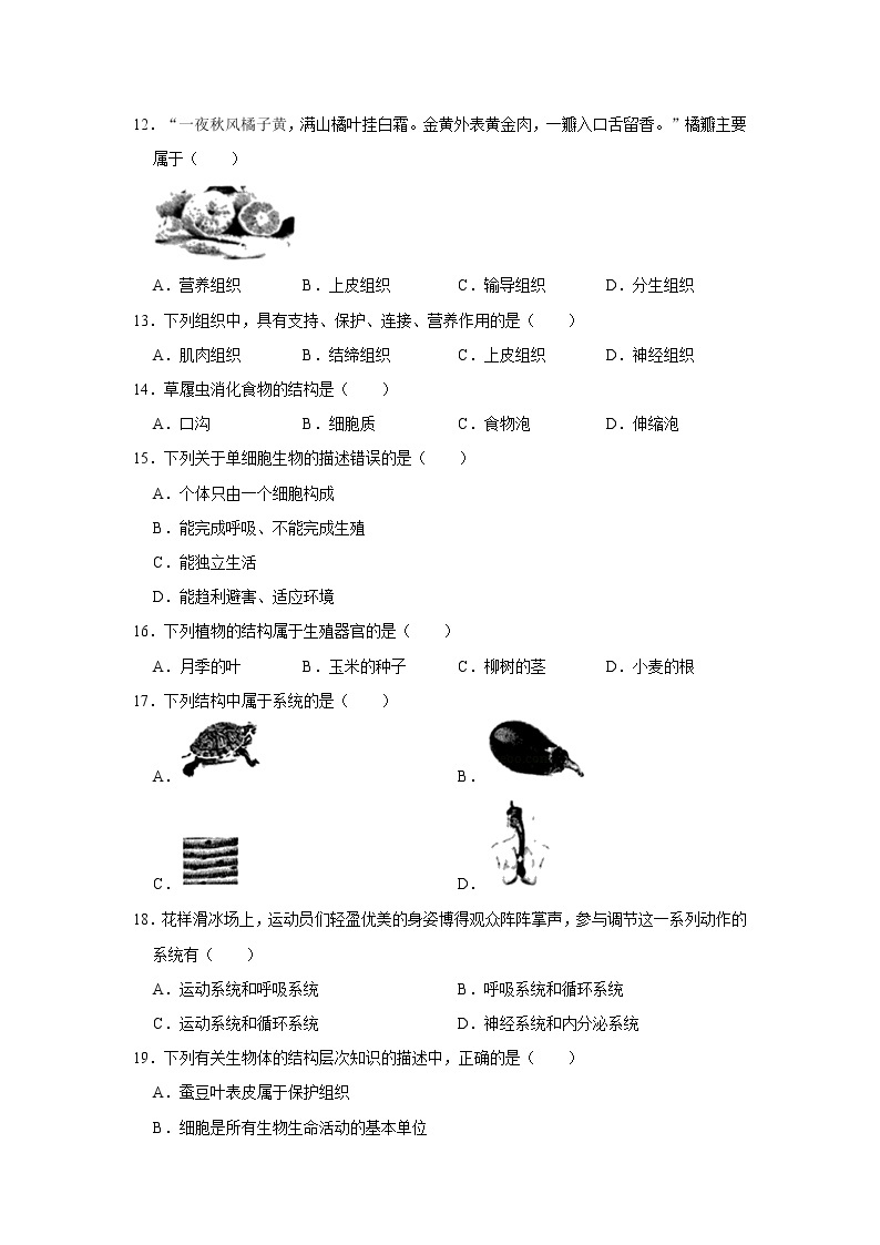 2020-2021学年江苏省盐城市滨海县七年级（上）期中生物试卷   解析版03