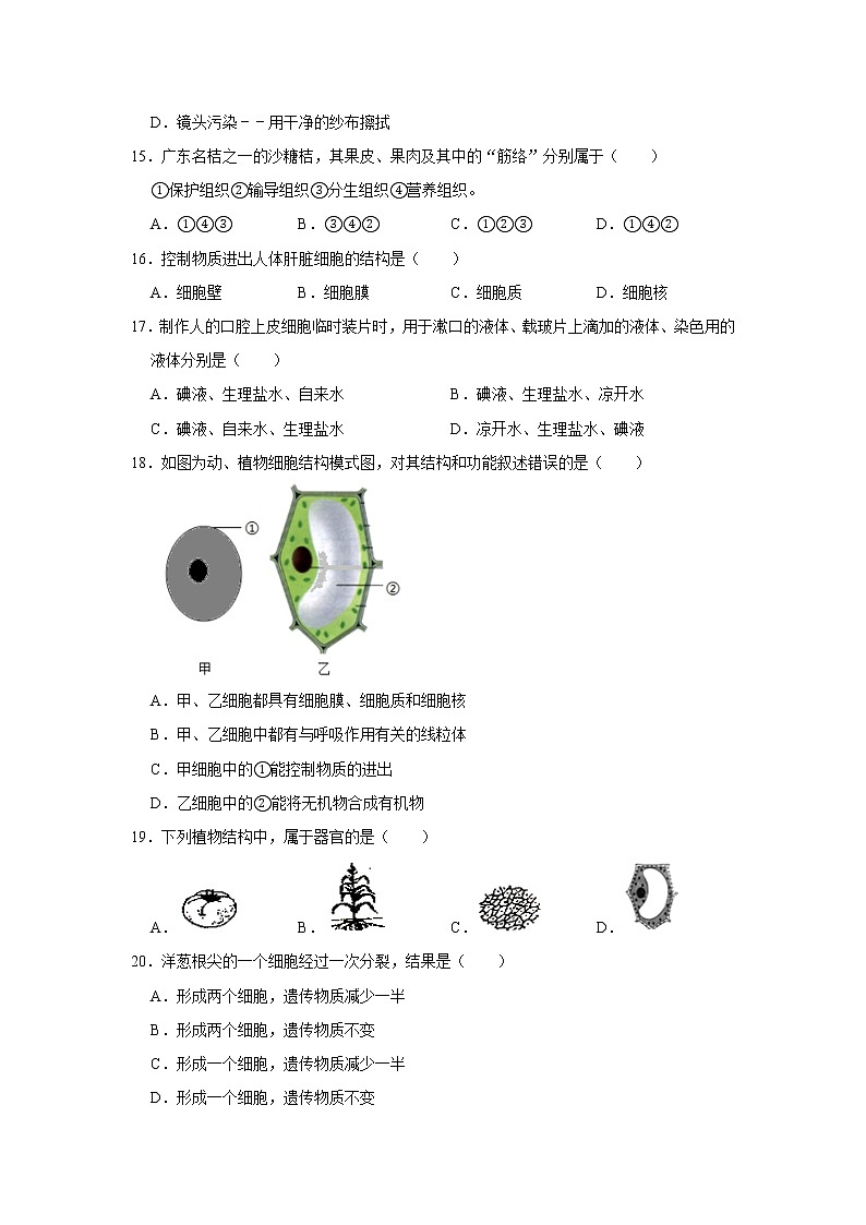 2020-2021學(xué)年天津市東麗區(qū)七年級(上)期中生物試卷 解析版第3頁