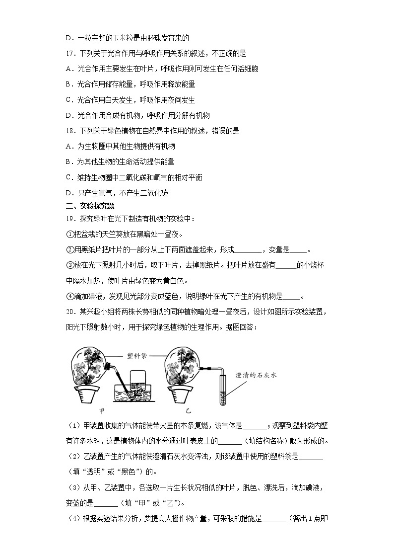 人教版七年级生物上册期末常考题型综合复习题    含答案03