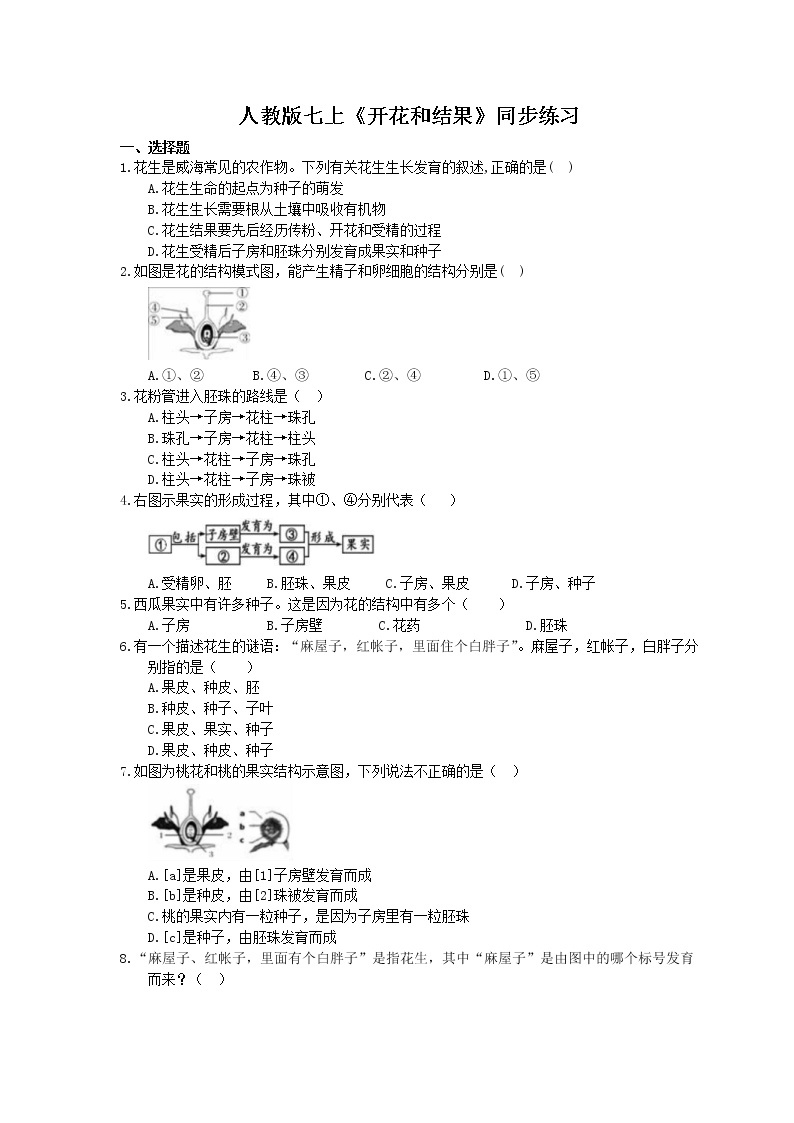 2020年人教版生物七上《开花和结果》同步练习(含答案)01