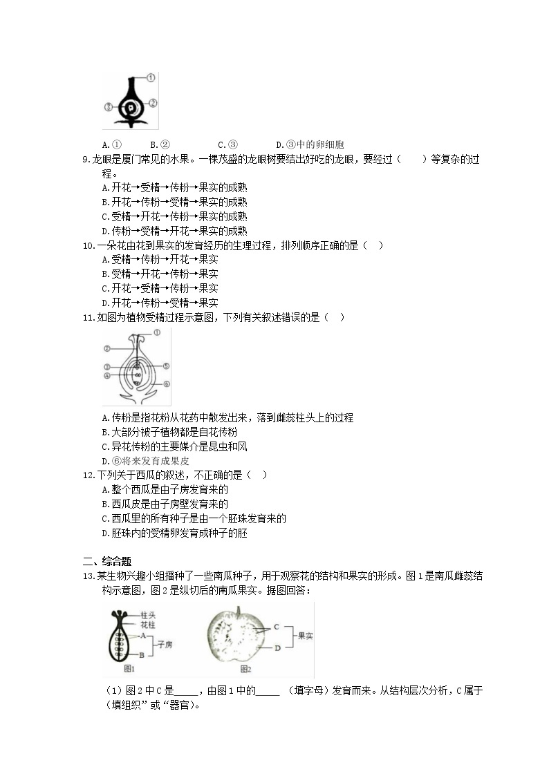 2020年人教版生物七上《开花和结果》同步练习(含答案)02