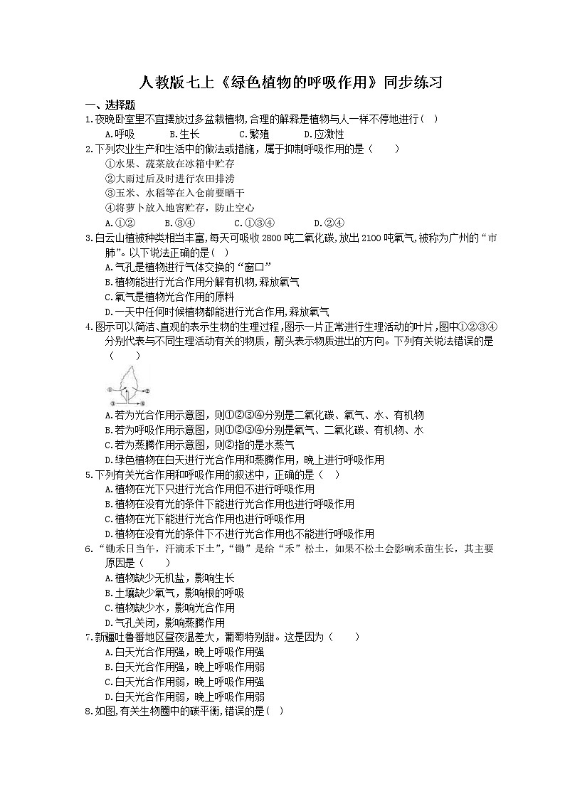 2020年人教版生物七上《绿色植物的呼吸作用》同步练习(含答案)01