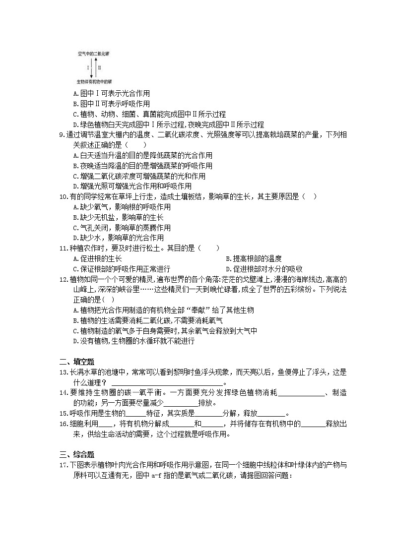 2020年人教版生物七上《绿色植物的呼吸作用》同步练习(含答案)02