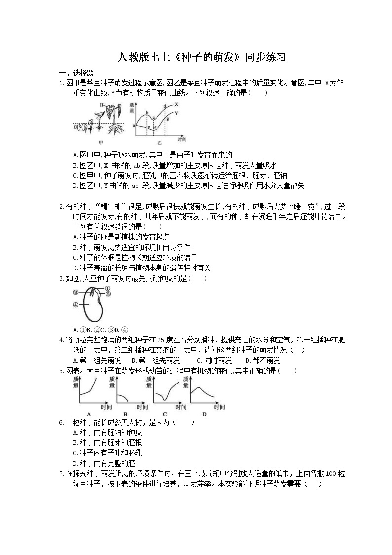 2020年人教版生物七上《种子的萌发》同步练习(含答案)01