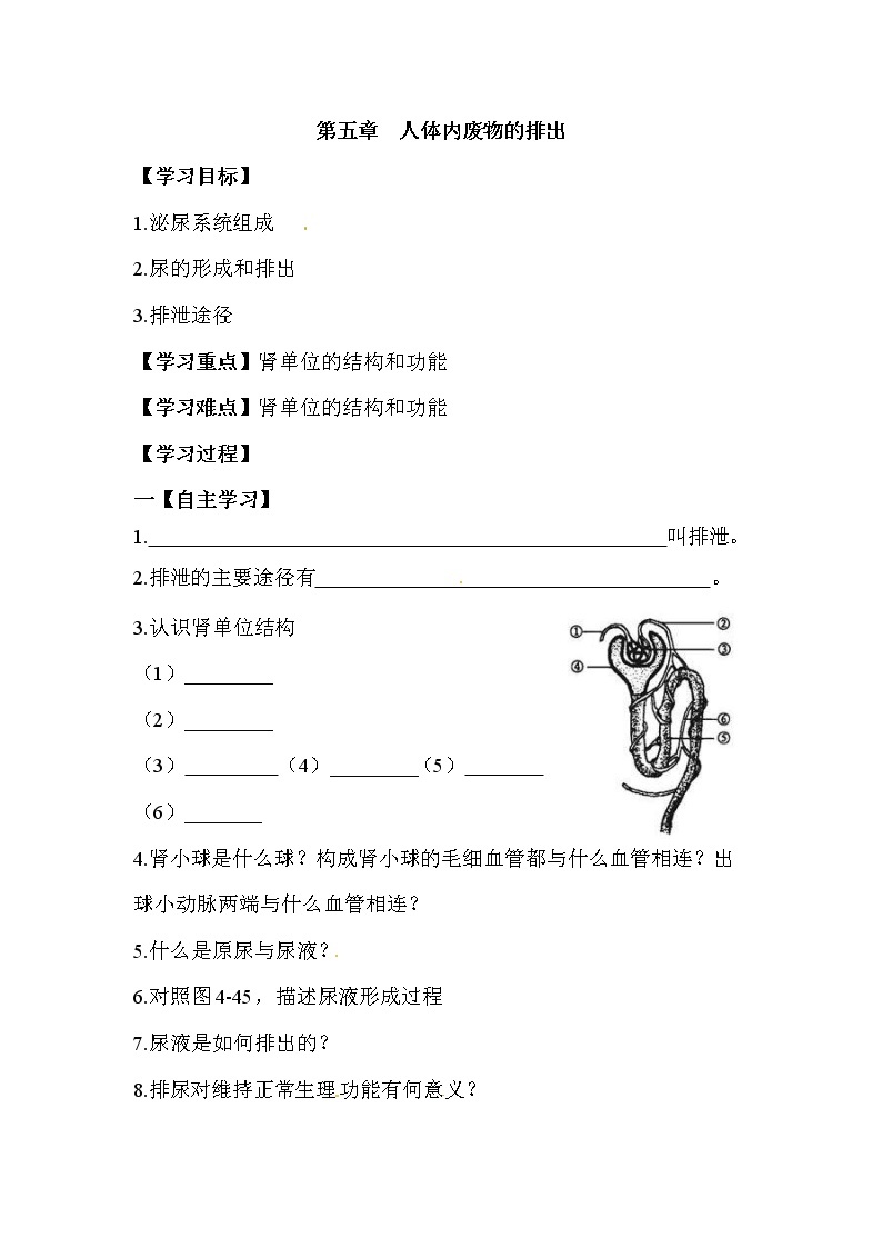 2021年人教版 七年级生物下册 第5章  人体内废物的排出 学案01