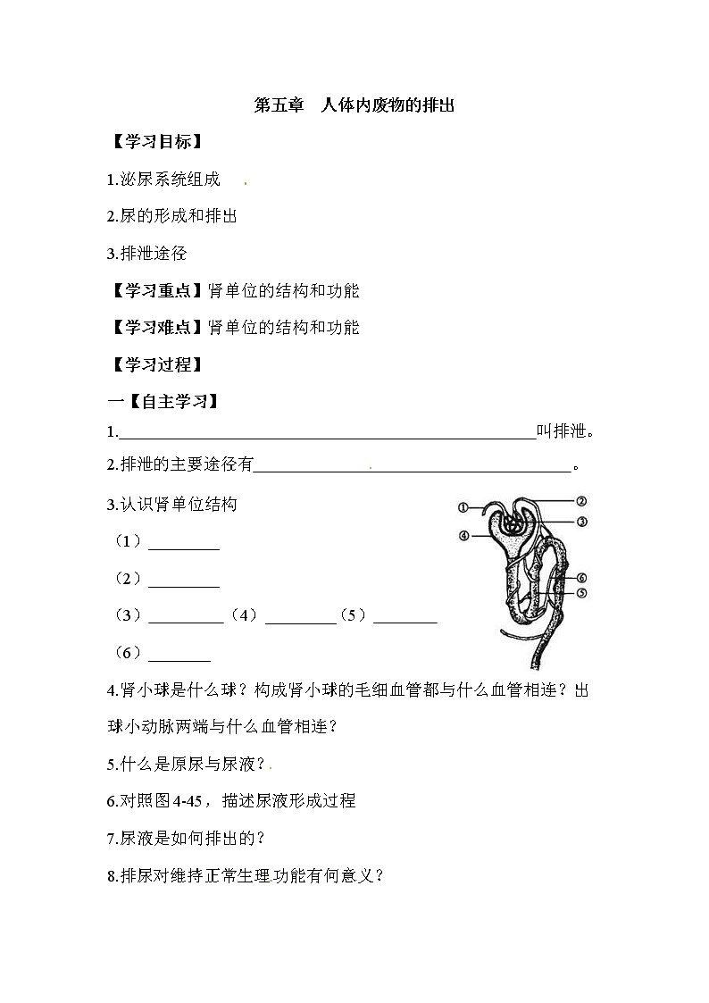 2021年人教版 七年级生物下册 第5章 人体内废物的排出 学案01