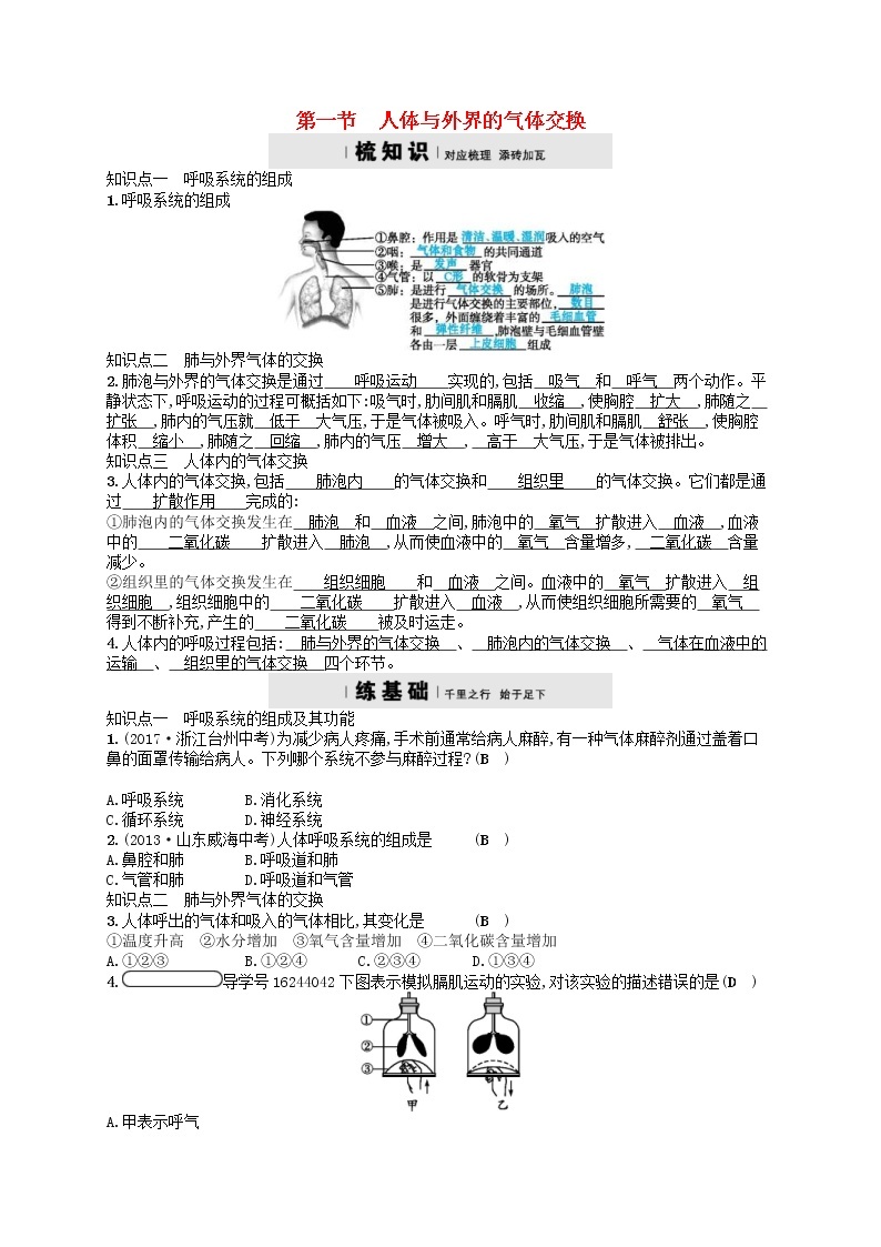 济南版七年级生物下册3.2.1人体与外界的气体交换 检测(含答案)01