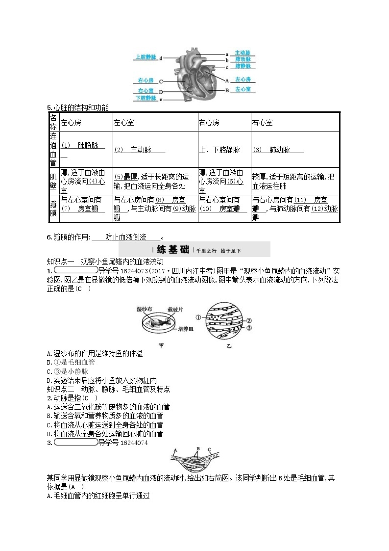 济南版七年级生物下册3.3.2物质运输的器官 检测(含答案)02