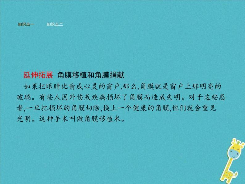 2021年济南版七年级生物下册3.5.4人体对周围世界的感知 课件(含答案)05