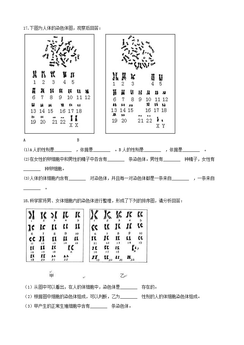 2021年人教版八年级生物下册 第2章第4节 人的性别遗传 同步测试(含答案)03