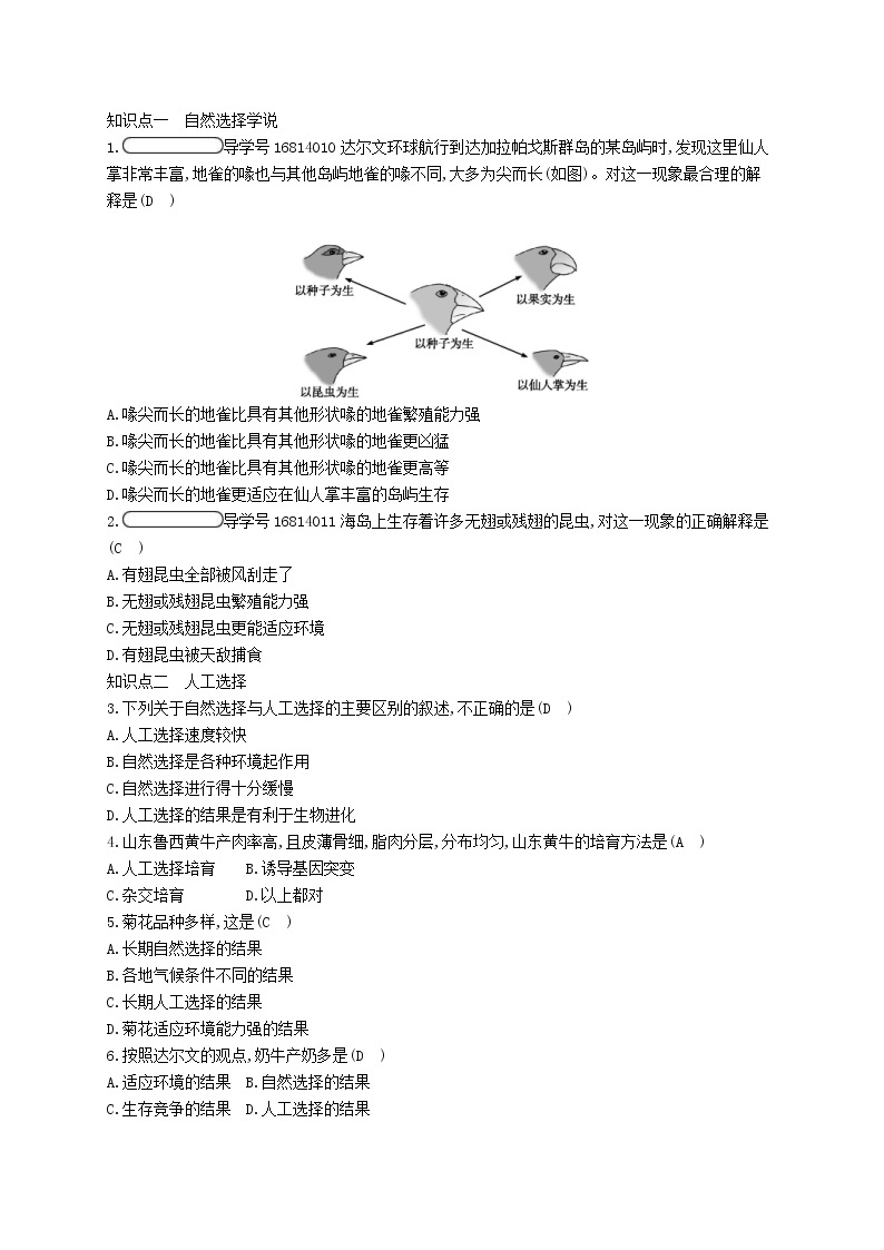 2021年济南版八年级生物下册5.1.4生物进化的原因 精练(含答案)02