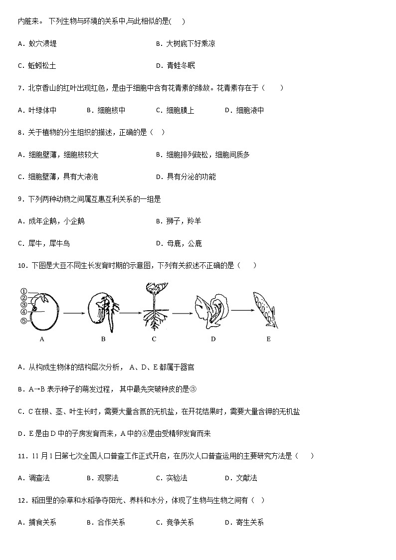 2020-2021学年第一学期平山天阳国际学校 七年级生物上册 期末复习题(二)02