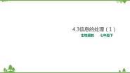 生物七年级下册第三节 信息的处理综合与测试一等奖ppt课件