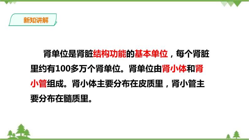 冀教版生物七下2.3.2排泄（1）（课件+教案+练习）08