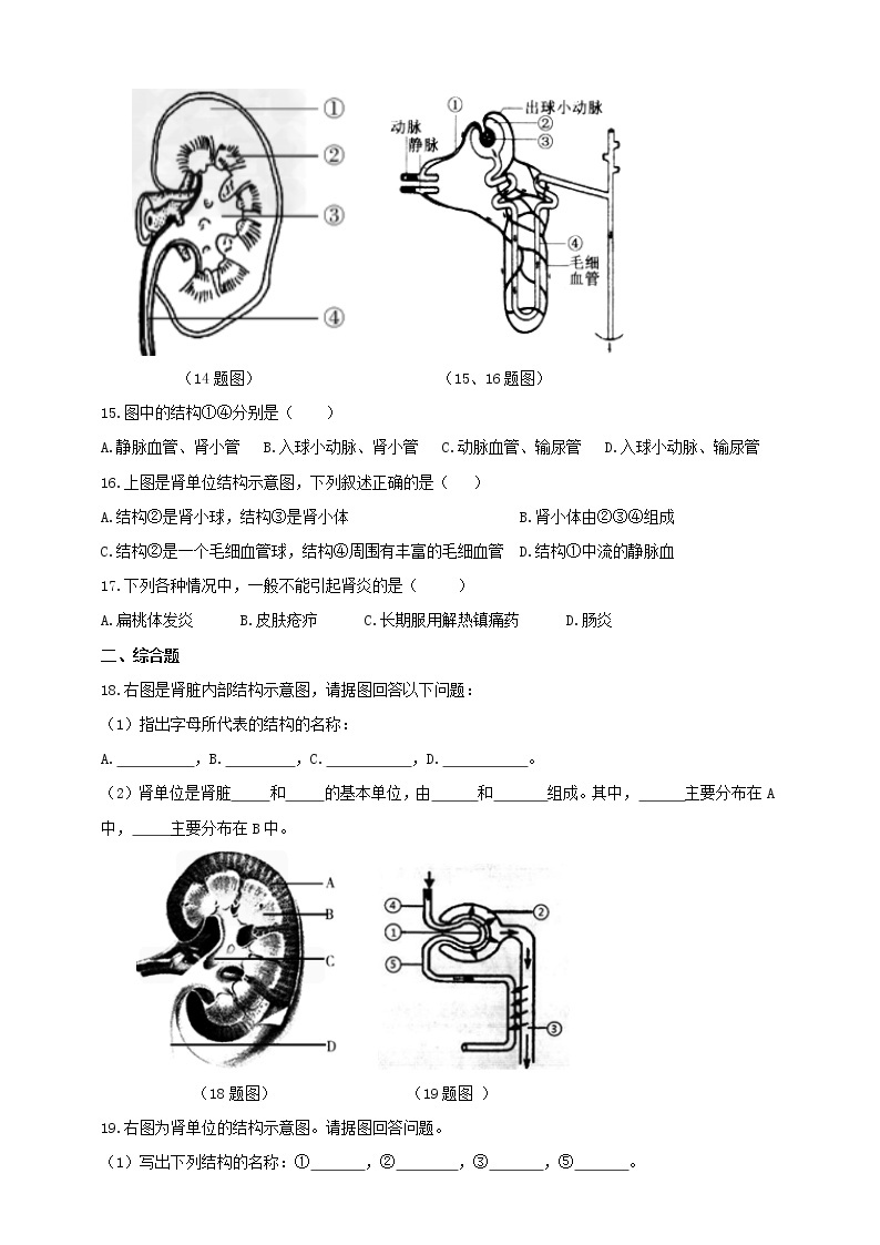 冀教版生物七下2.3.2排泄（1）（课件+教案+练习）02