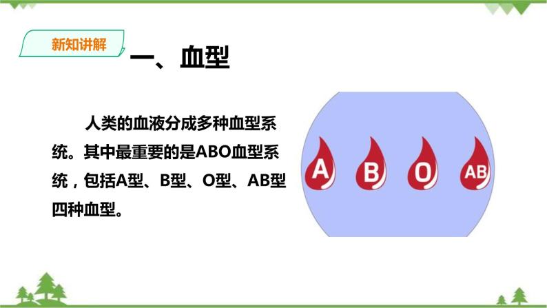 冀教版生物七下2.2.1 物质运输的载体（2）（课件+教案+练习+视频）03