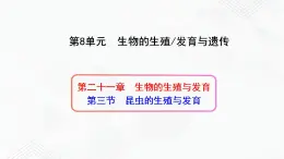 苏教版生物八年级下册 昆虫的生殖与发育 课件PPT