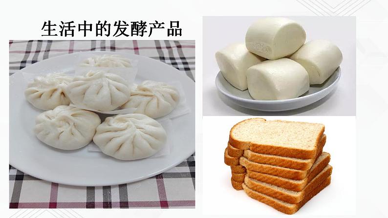 苏教版生物八年级下册 源远流长的发酵技术 课件PPT05