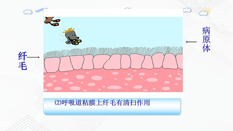 苏教版生物八年级下册 免疫 课件PPT07