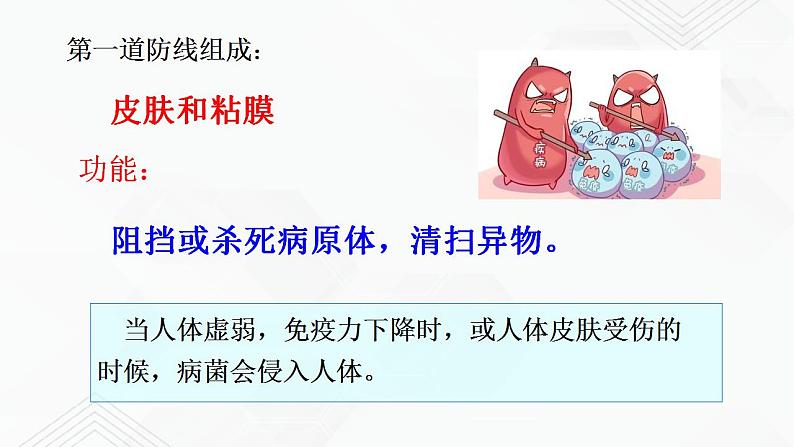 苏教版生物八年级下册 免疫 课件PPT08