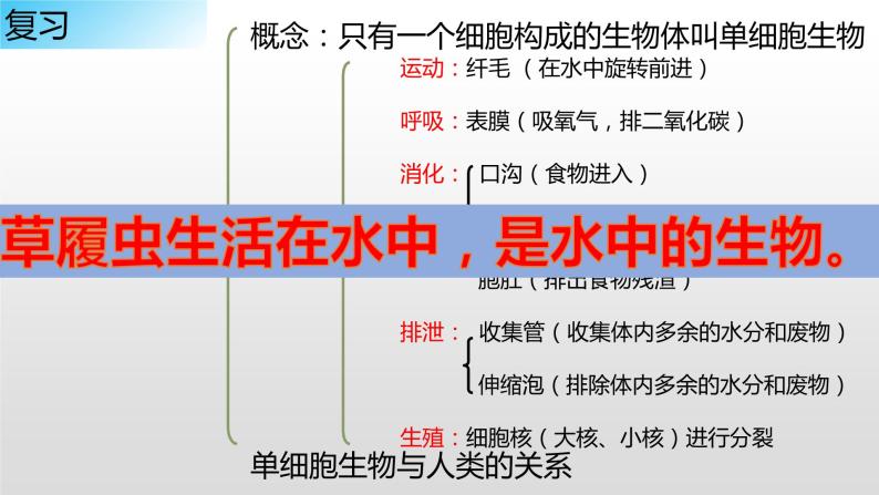 10.1 水中的动物（课件）七年级下册生物02