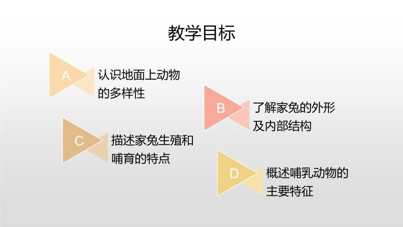 11.2 地面上的动物（课件）七年级下册生物03