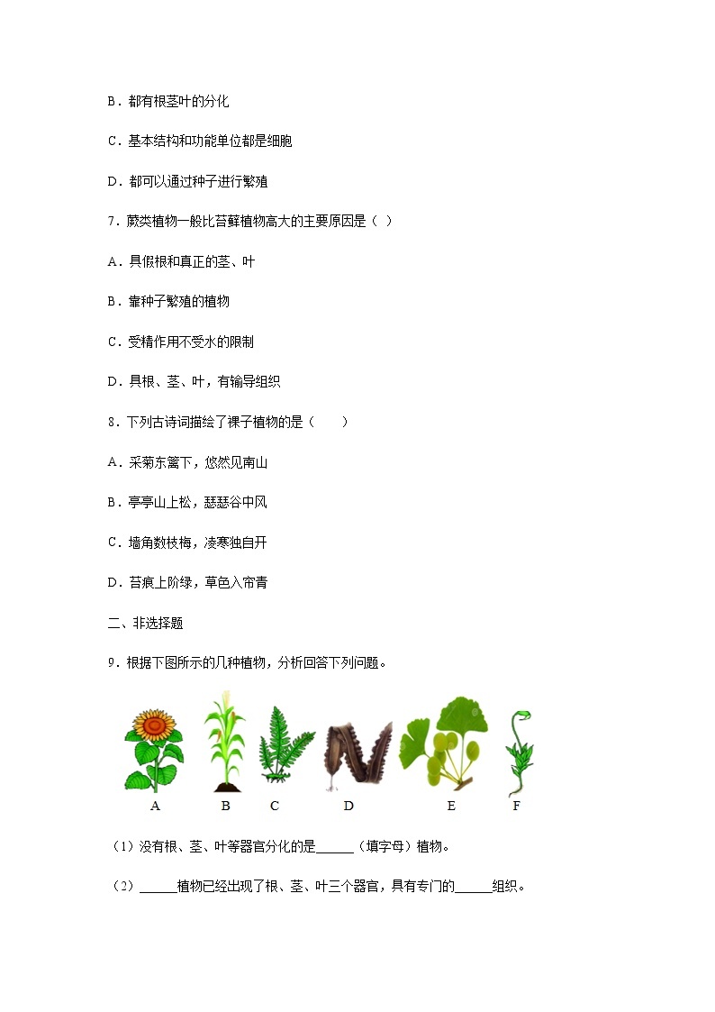 11.1 地面上的植物（练习）（原卷版）02