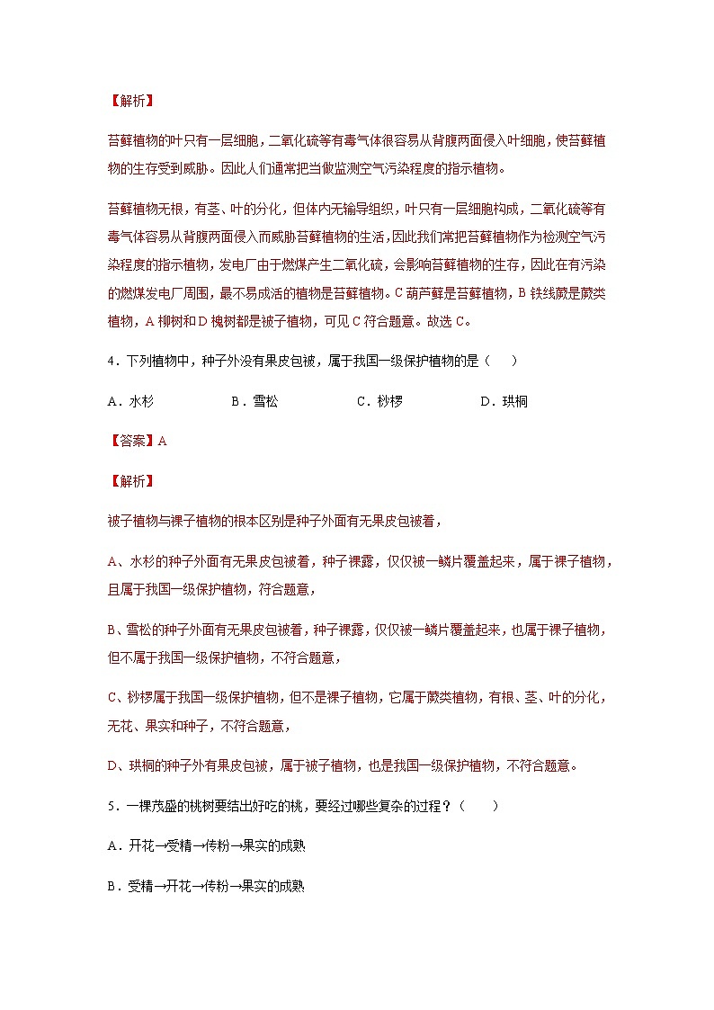 11.1 地面上的植物(练习)(解析版)02