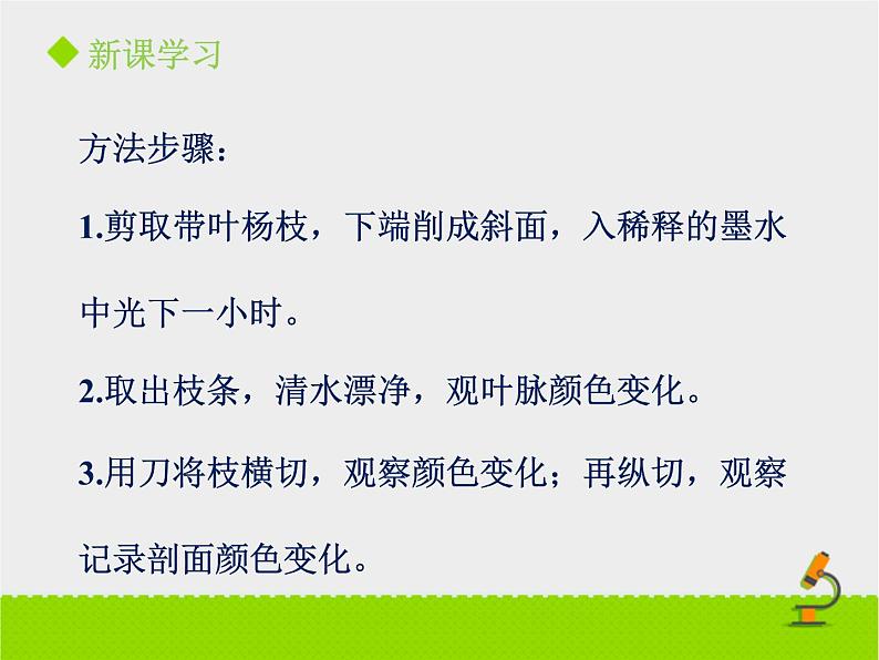 《植物体内的物质运输》课件PPT第一课时第5页