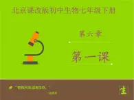 北京版生物七年级下册《人的呼吸》课件PPT第一课时