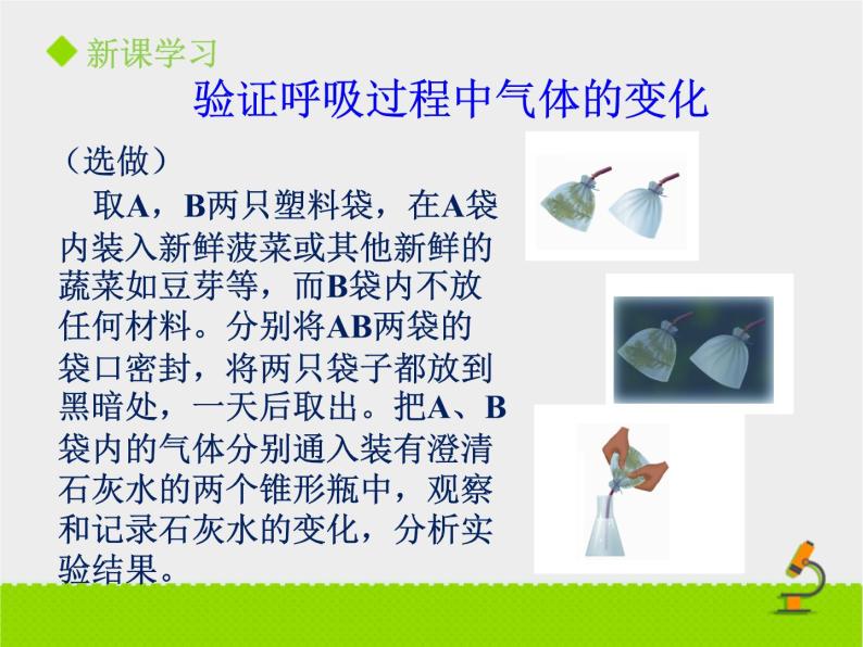 绿色植物的呼吸PPT课件免费下载07