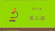 初中生物北京版七年级下册第三节 其他生物的呼吸背景图课件ppt