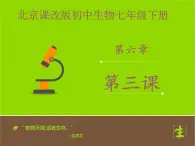 北京版生物七年级下册《其他生物的呼吸》课件PPT第二课时