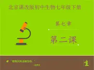 北京版生物七年级下册《尿液的形成和排出》课件PPT第二课时