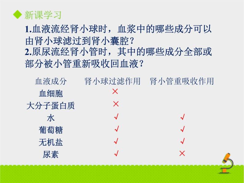 北京版生物七年级下册《尿液的形成和排出》课件PPT第二课时07