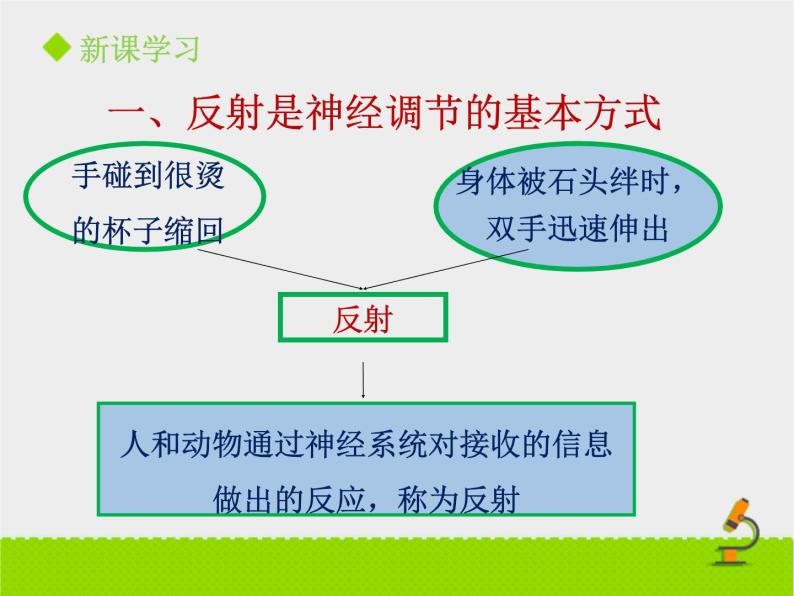 《神经调节的基本方式》课件PPT第一课时04