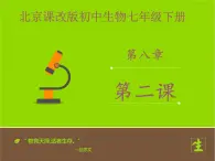 北京版生物七年级下册《神经调节的基本方式》课件PPT第二课时