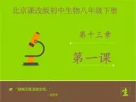 北京版生物八年级下册13.1《生物的分类》课件