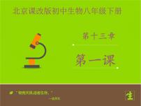 北京版八年级下册第十三章 生物的多样性第一节 生物的分类备课课件ppt