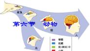 初中生物北京版八年级下册第六节 动物教学演示ppt课件