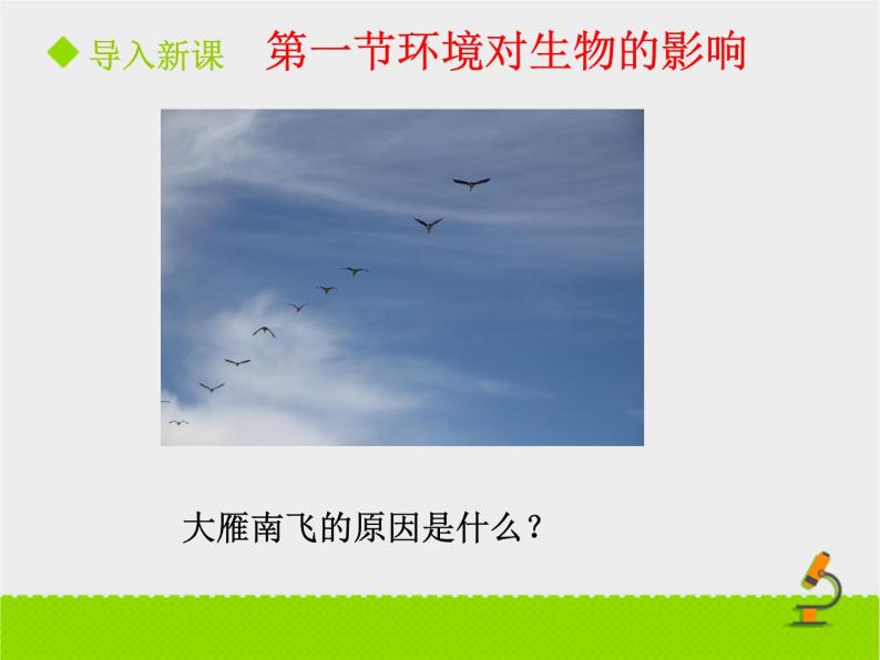 北京版生物八年级下册14.1《环境对生物的影响》课件第一课时03