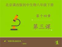 初中生物北京版八年级下册第三节 生态系统教学演示课件ppt