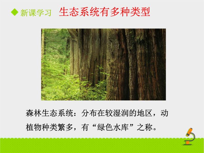 北京版生物八年级下册14.3《生态系统》课件第一课时04