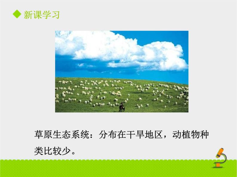 北京版生物八年级下册14.3《生态系统》课件第一课时05