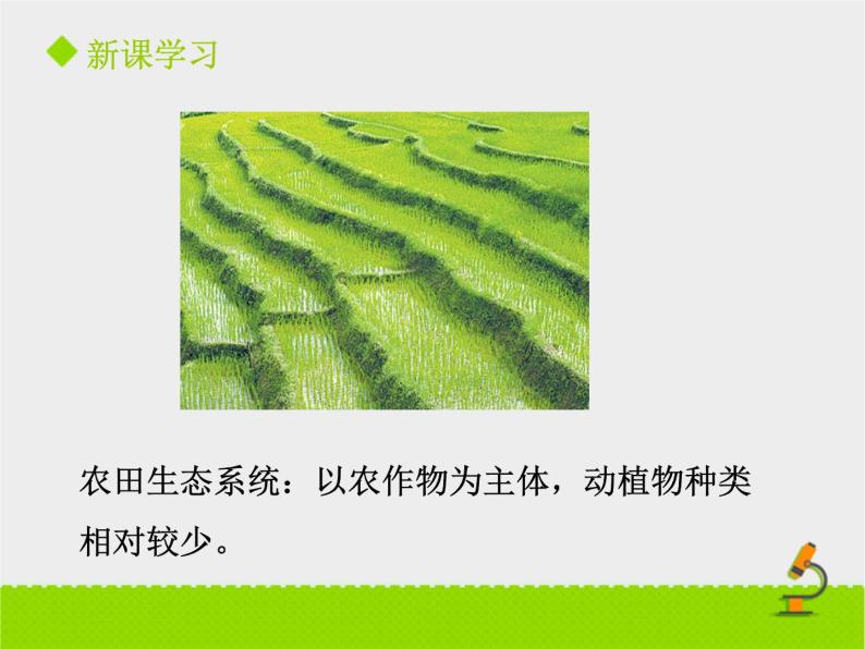 北京版生物八年级下册14.3《生态系统》课件第一课时07